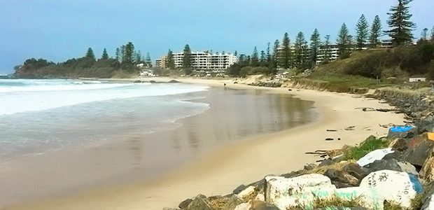 ポートマッコリーの海沿いを散歩してきた in オーストラリア ポートマッコリーの海沿いを散歩してきた in オーストラリア